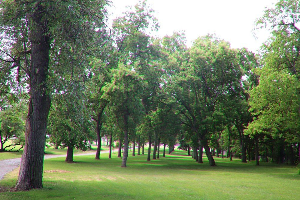 Pioneer Park-比灵斯必去景点