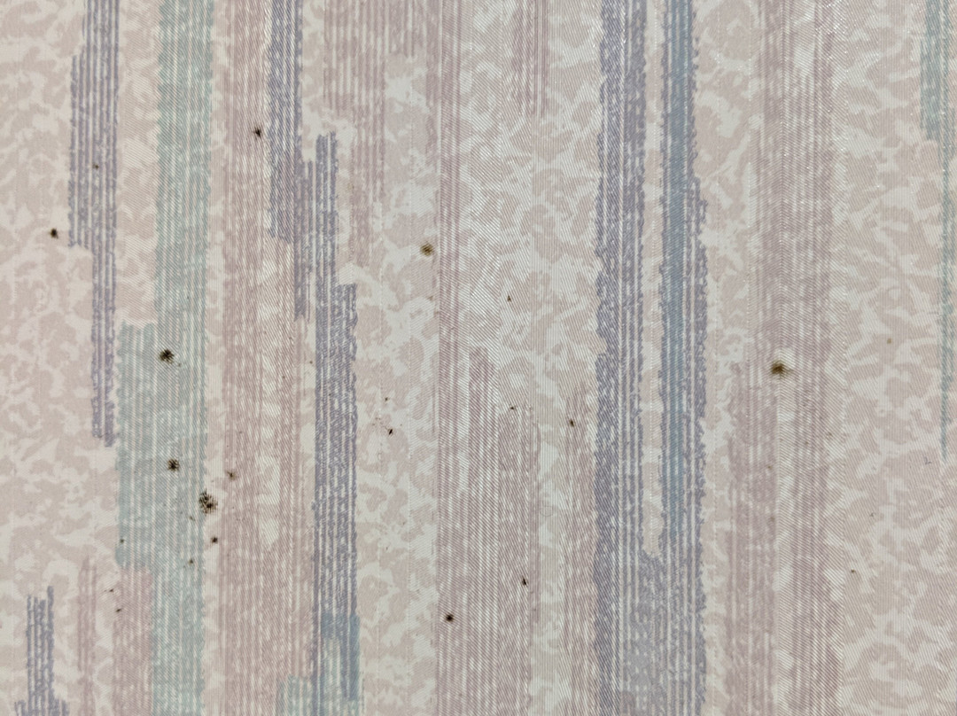 La Quinta Inn by Wyndham Roanoke Salem主图