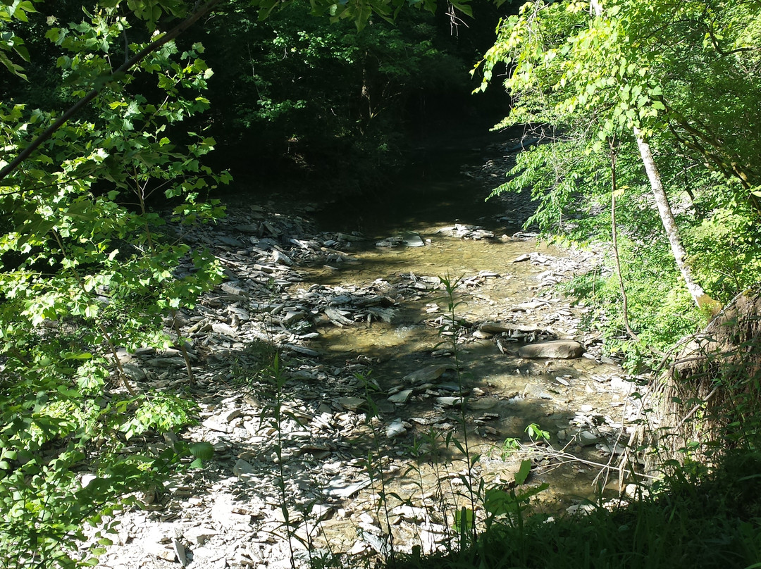 Day Heights旅游景点-Redbird Hollow Preserve