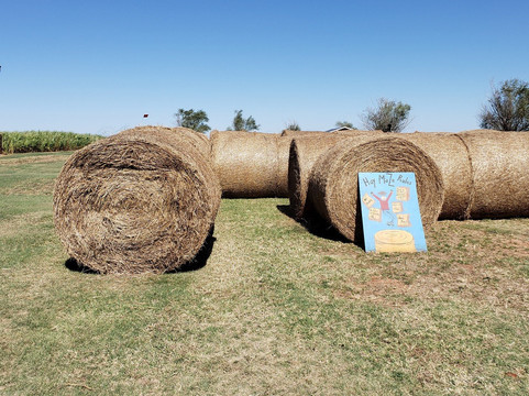 Daze in a Maze-Enid必去景点