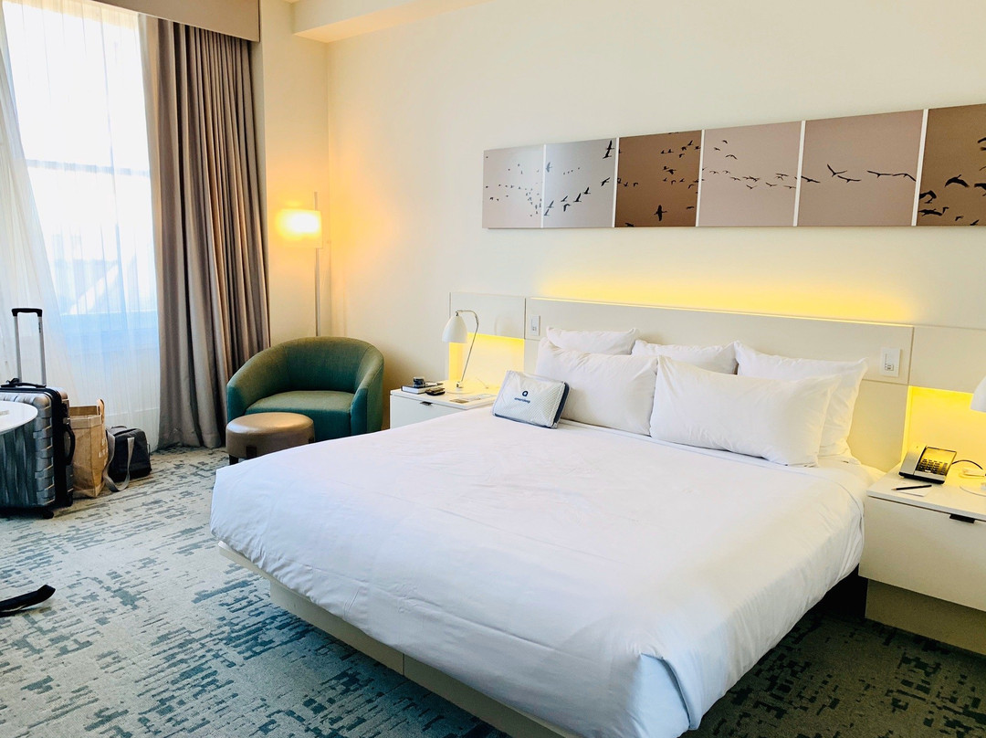 阁列克星敦 21C 博物馆酒店主图