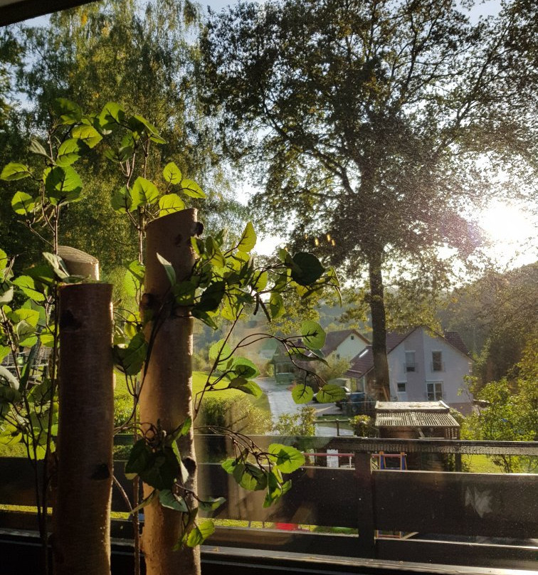 Hotel Restaurant Birkenhof主图