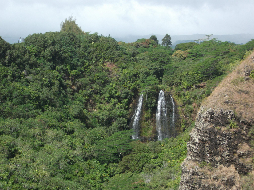 卡内奥赫旅游景点-Waipuhia Falls
