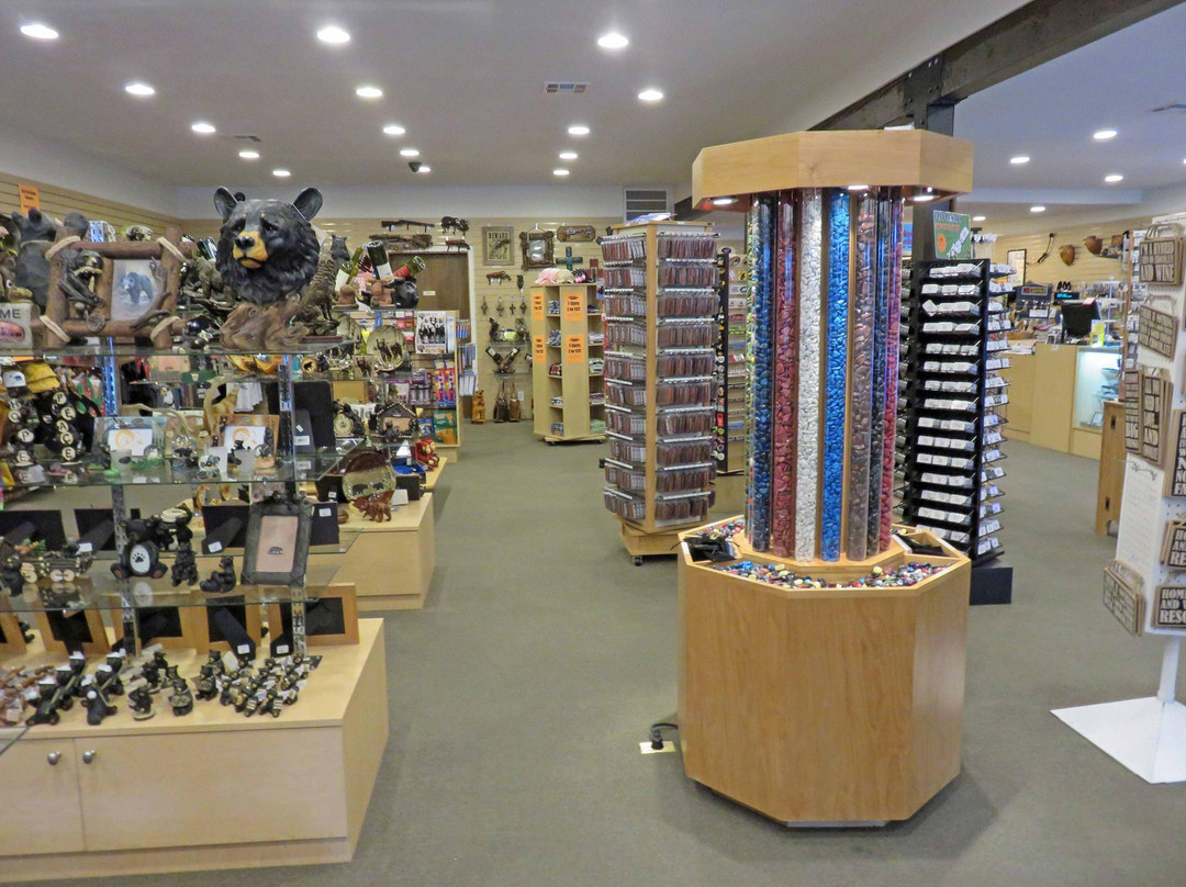 Brown Bear Gift Shop-大熊湖必去景点