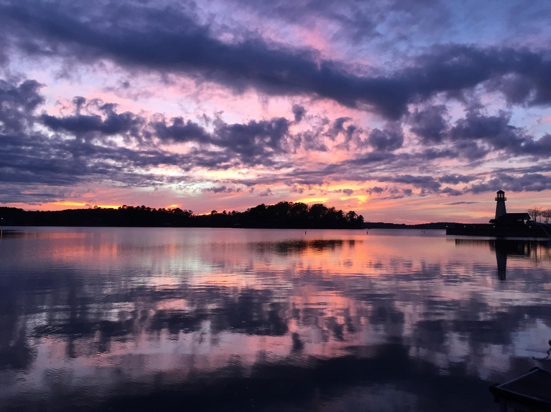 Lake Martin Tours景点图片