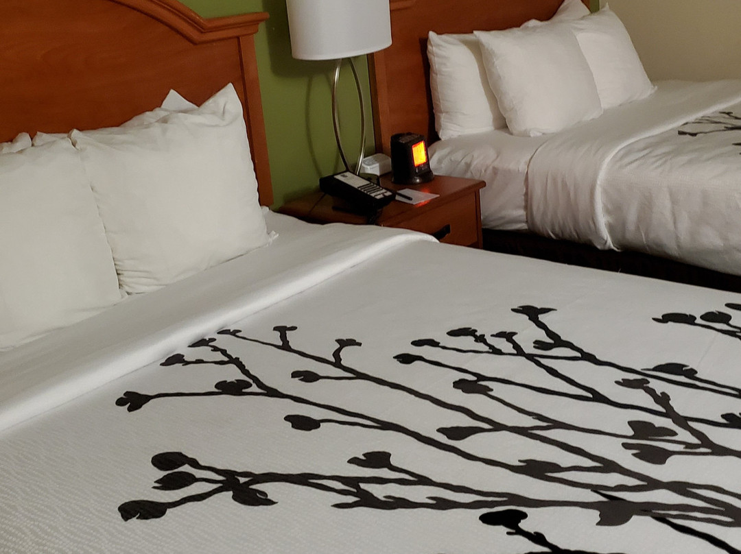 Sleep Inn Murfreesboro主图