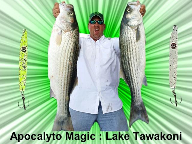 Tawakoni Fishing Guide-Wills Point必去景点