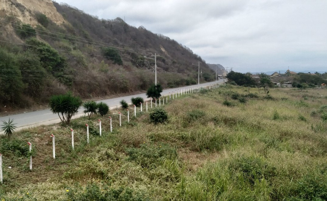 Hosteria Canoa主图