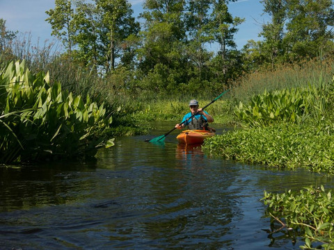 Kayak Charleston-查尔斯顿必去景点