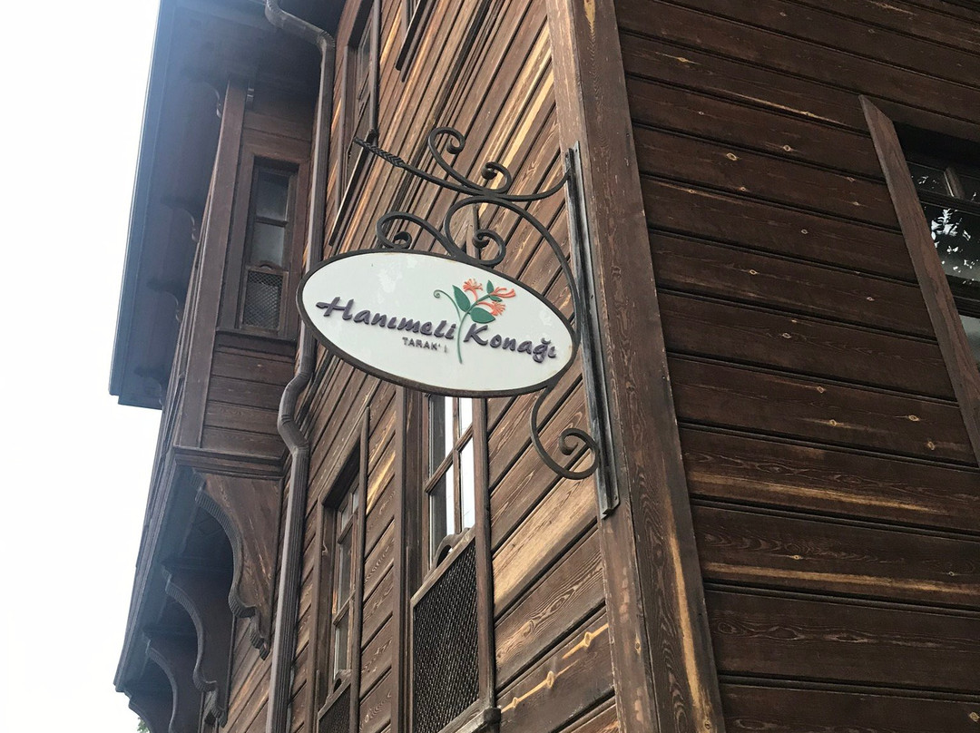 Hanimeli Konagi主图