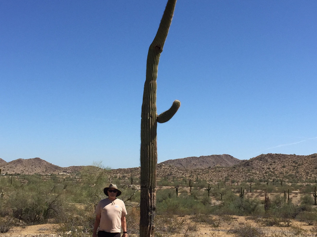 Estrella Mountain Regional Park-嘉年必去景点