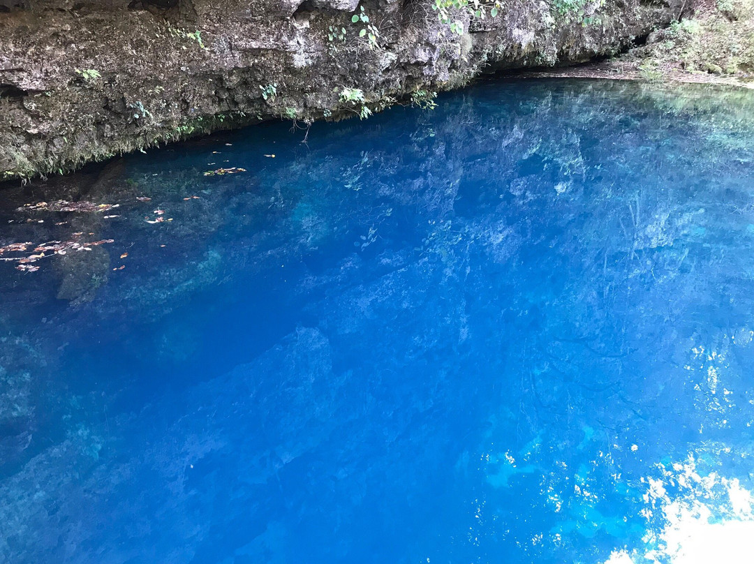 Hawkins House B & B主图