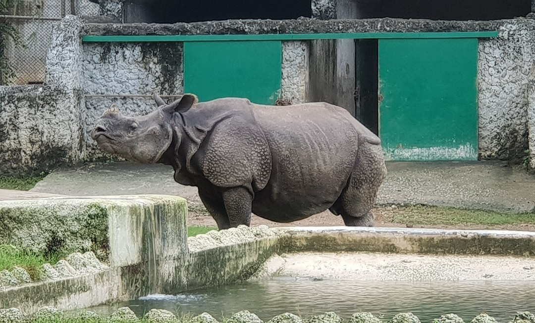Kanpur Zoological Park景点图片