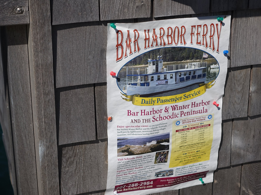Bar Harbor Town Pier景点图片