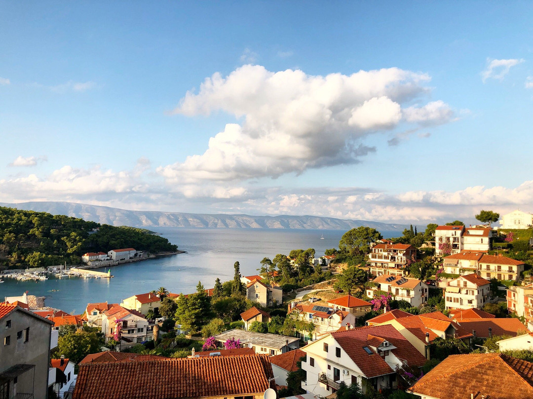 Scedro Island旅游攻略图片