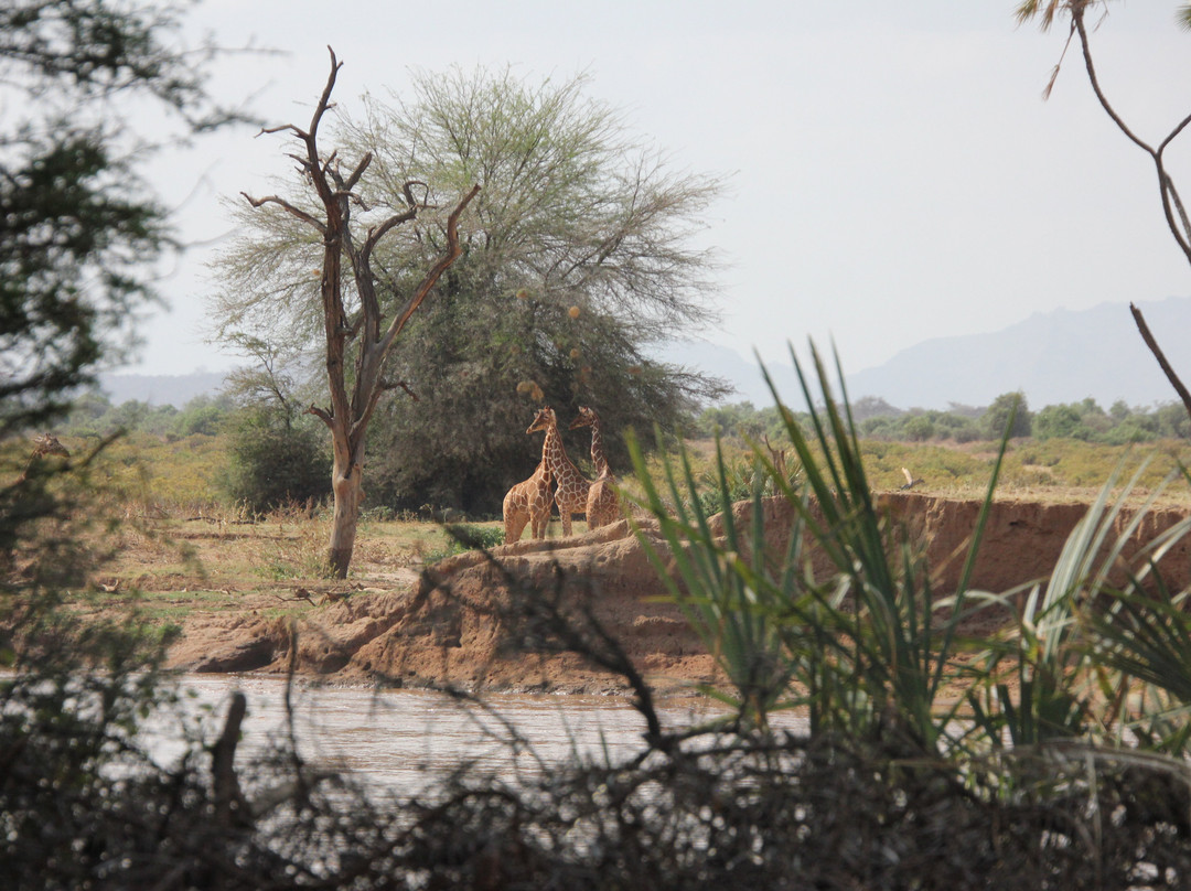 阿什尼尔桑布鲁营地酒店主图