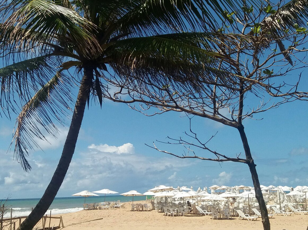 Imbassai Beach景点图片