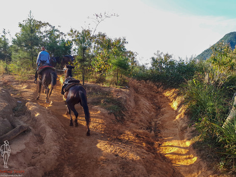 Cuban Cowboy Tours-维纳勒斯必去景点