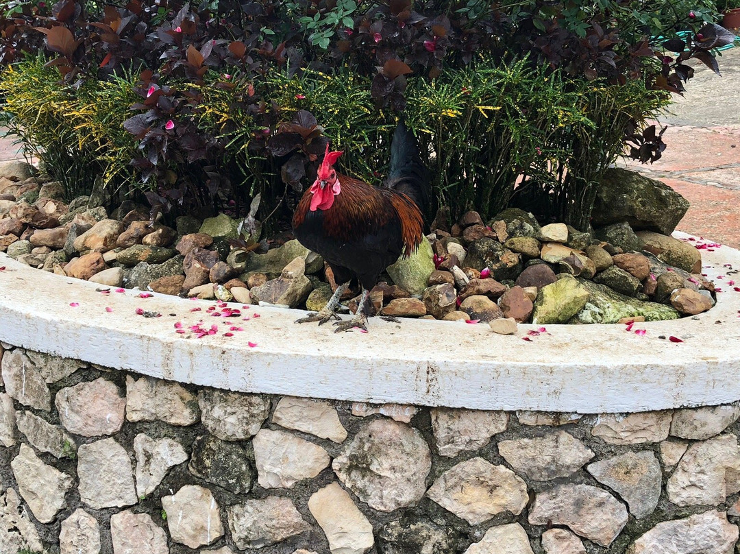 Animal Farm & Nature Reserve-蒙特戈贝必去景点