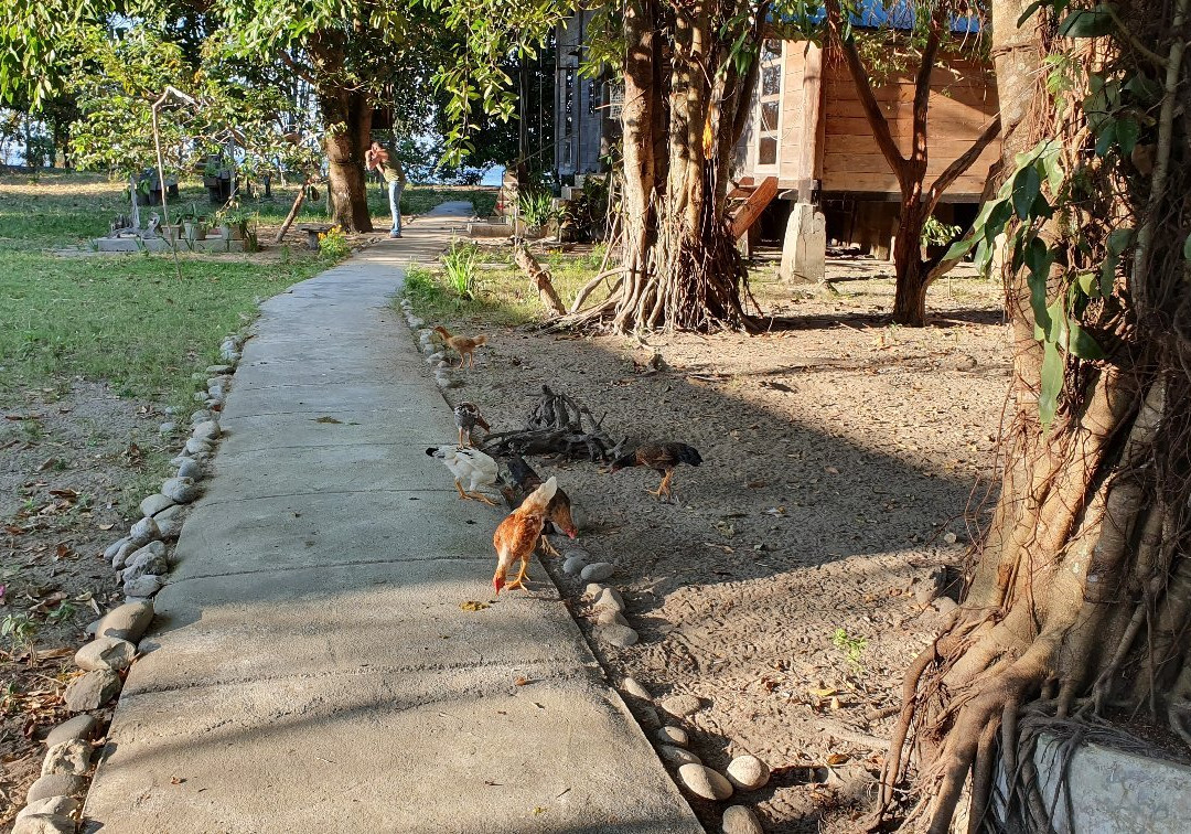 Tandobone Bungalows