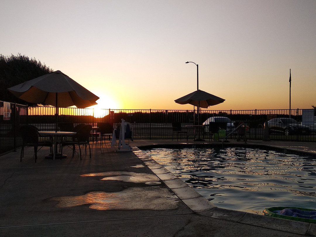 Super 8 by Wyndham Lindsay Olive Tree主图