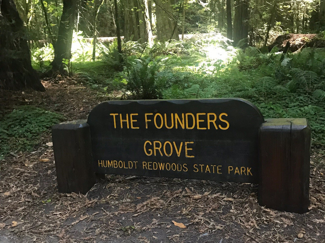Founder's Grove Nature Loop景点图片