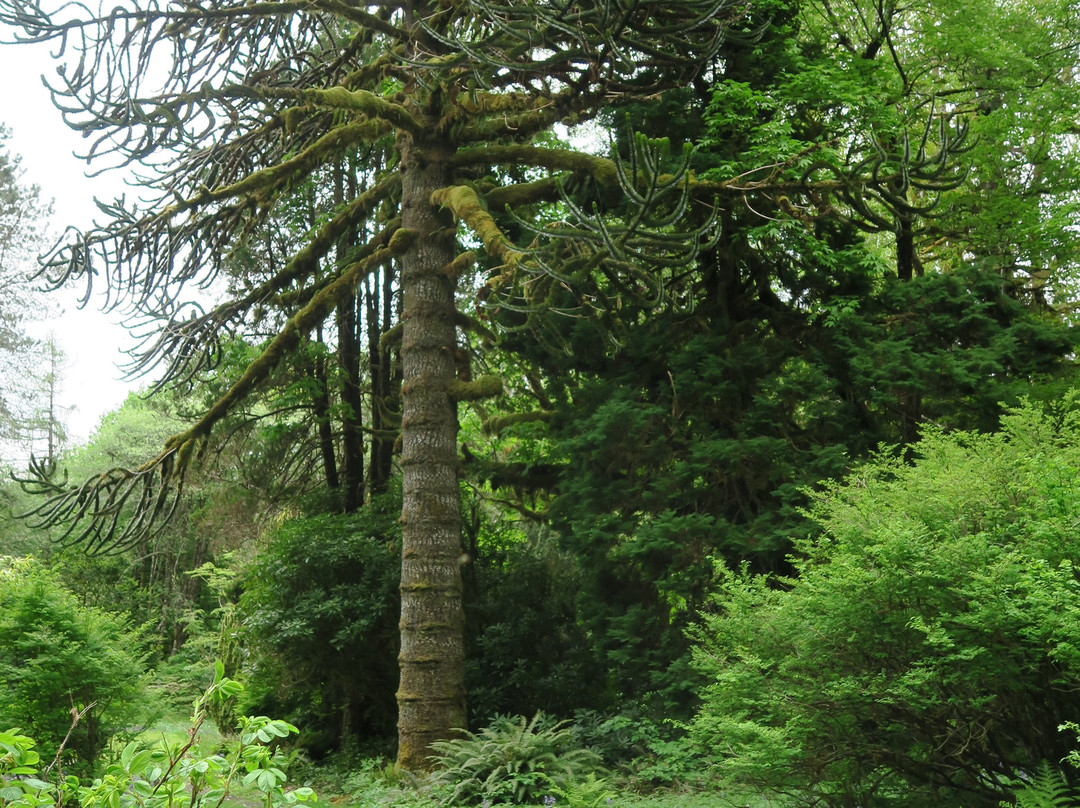 Ronning’s Garden景点图片