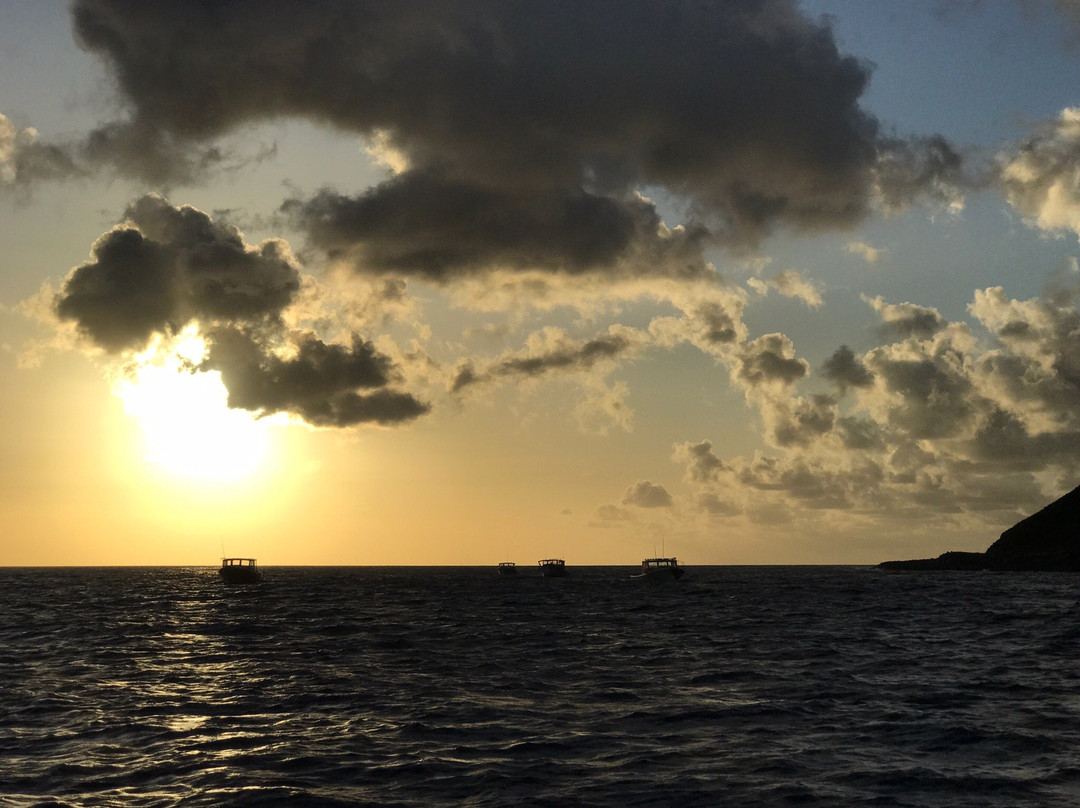 Saba Divers-Fort Bay必去景点