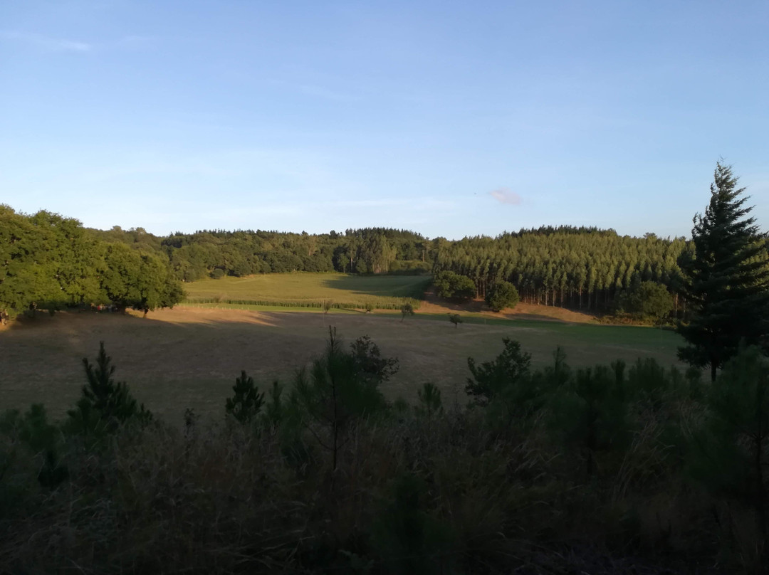 Porto de Bois Apartamentos Turisticos主图
