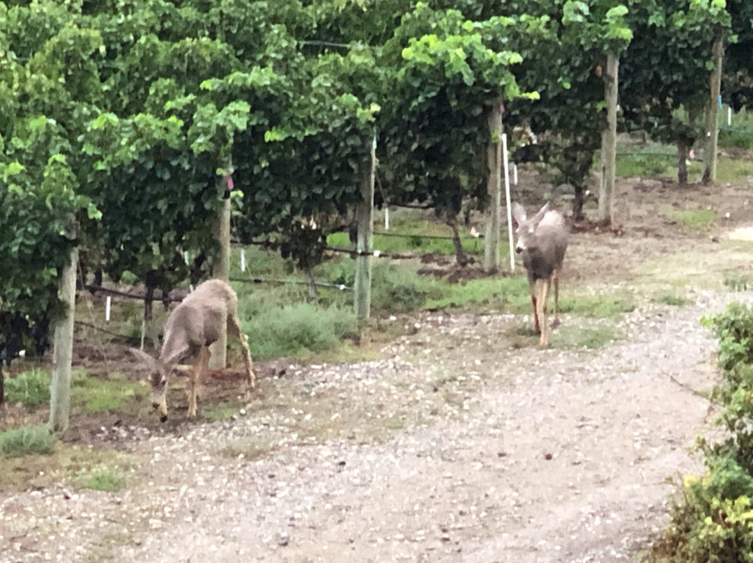 Spirit Ridge, Unbound Collection By Hyatt主图