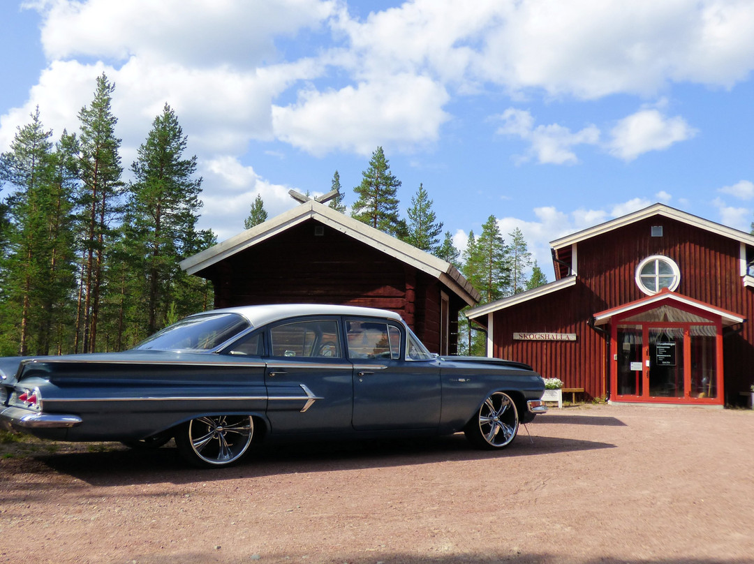 Lomkällan, Särna skogsmuseum景点图片