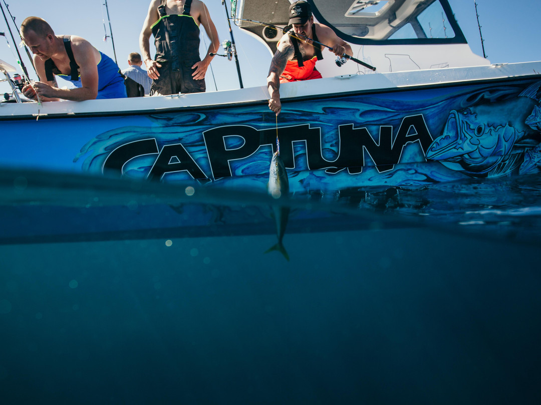 Captuna Fishing Charter & Tours-Cape Point必去景点