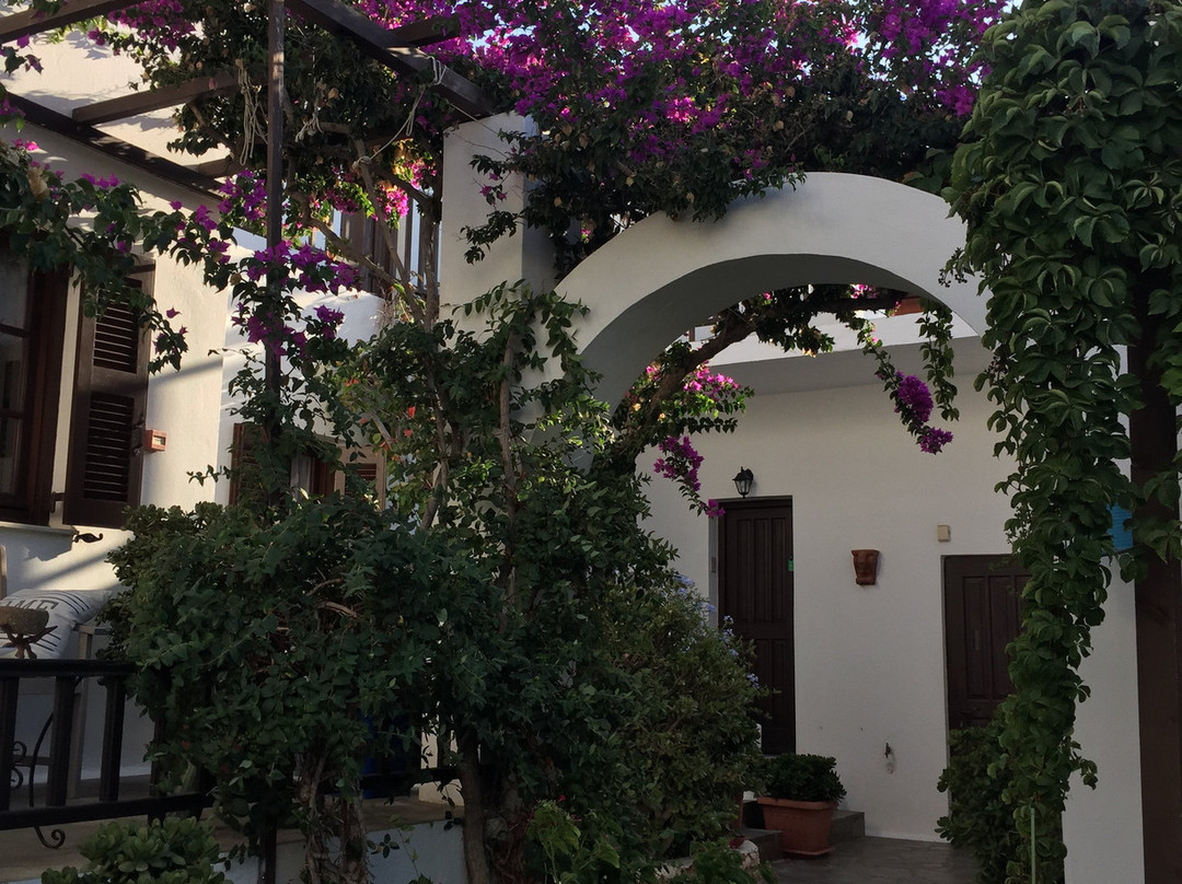 Hotel Christina, Adults Only,Heated Salt Water Pool主图
