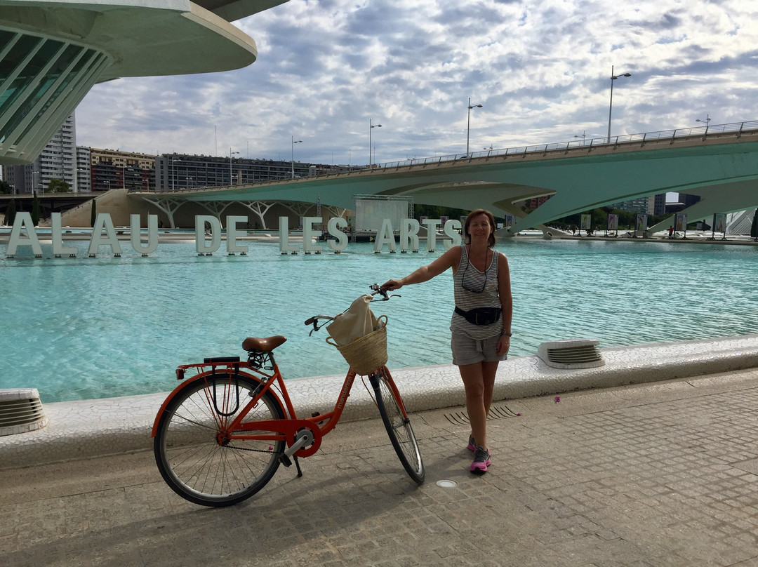 Mandarina Bikes景点图片