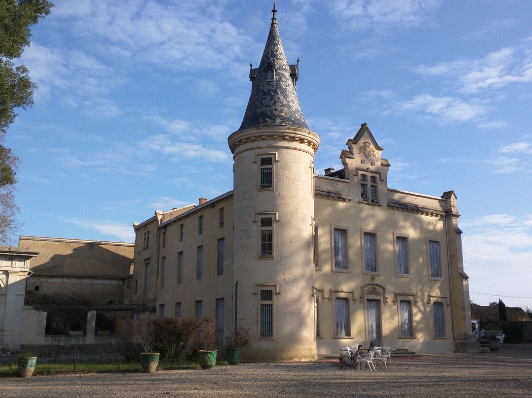 Chateau Montpezat景点图片