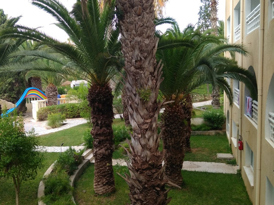 Mediterranee Thalasso Golf主图