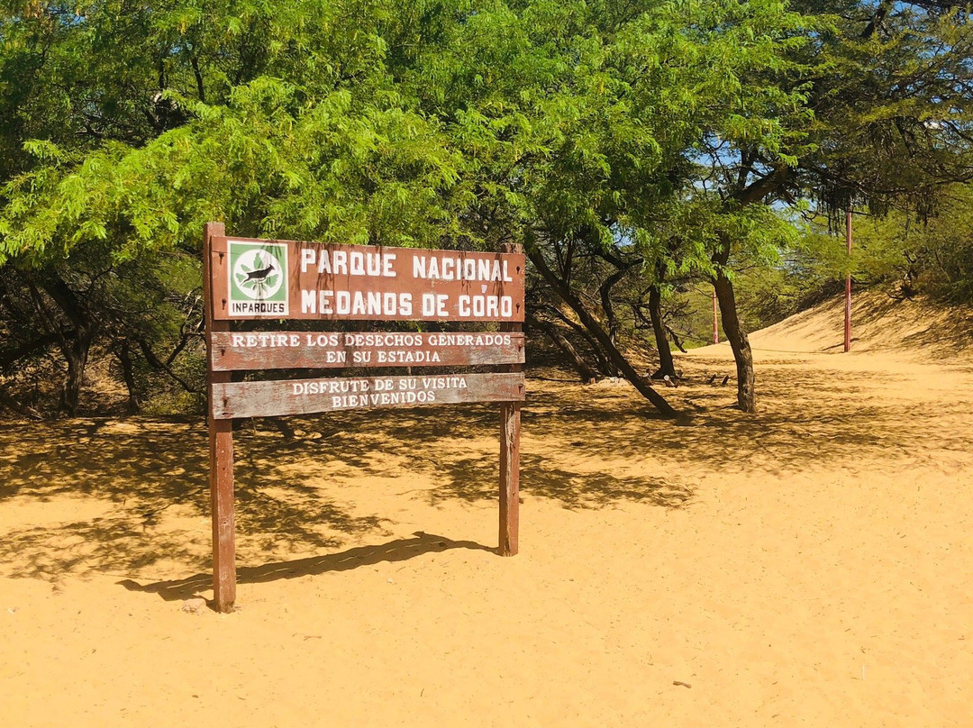 Los Medanos de Coro景点图片
