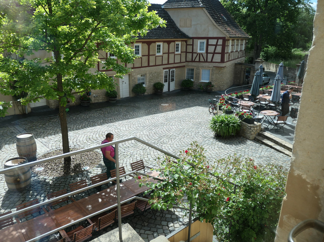 Weingut Wasem-Ingelheim必去景点