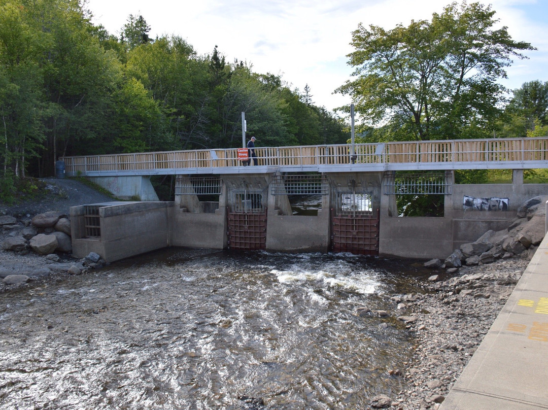 Margaret Bowater Park-Corner Brook必去景点