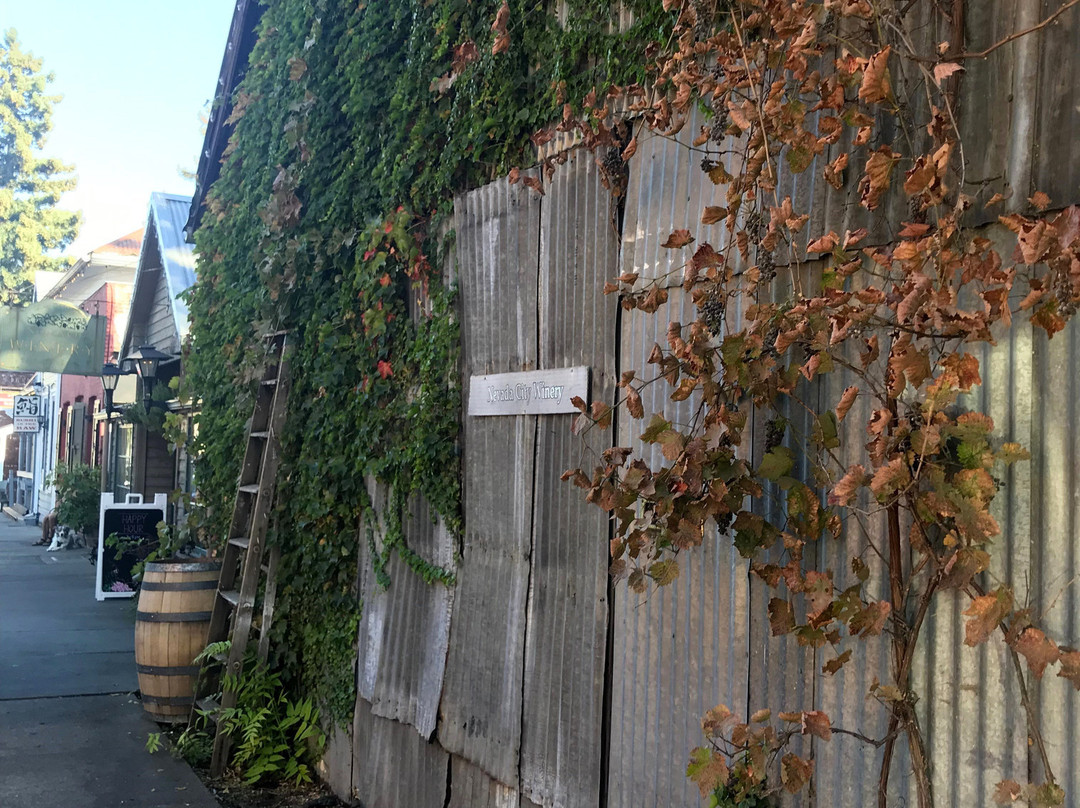 Nevada City Winery-Nevada City必去景点