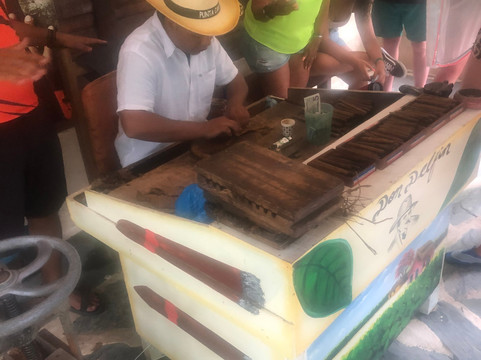 Punta Cana Excursions-蓬塔卡纳必去景点