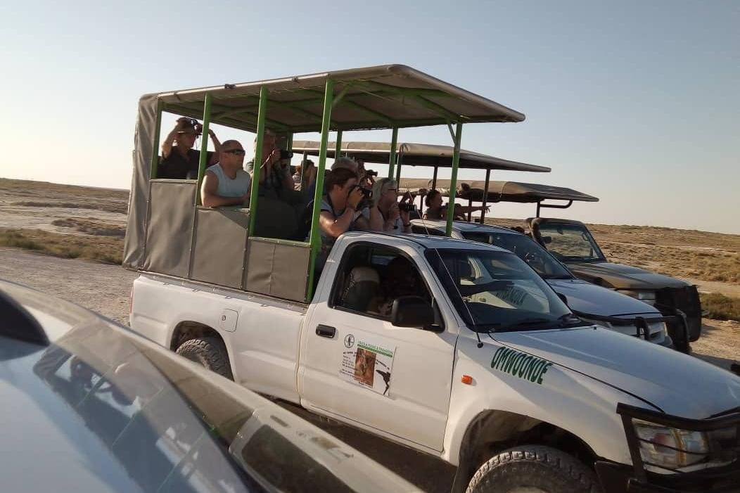 Safari In Etosha national park with yavola tours, Namibia