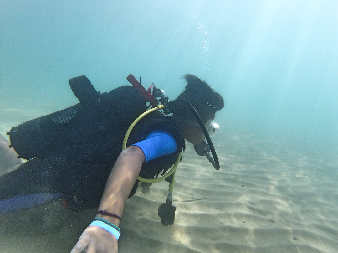 Aquaholics Diving Center景点图片