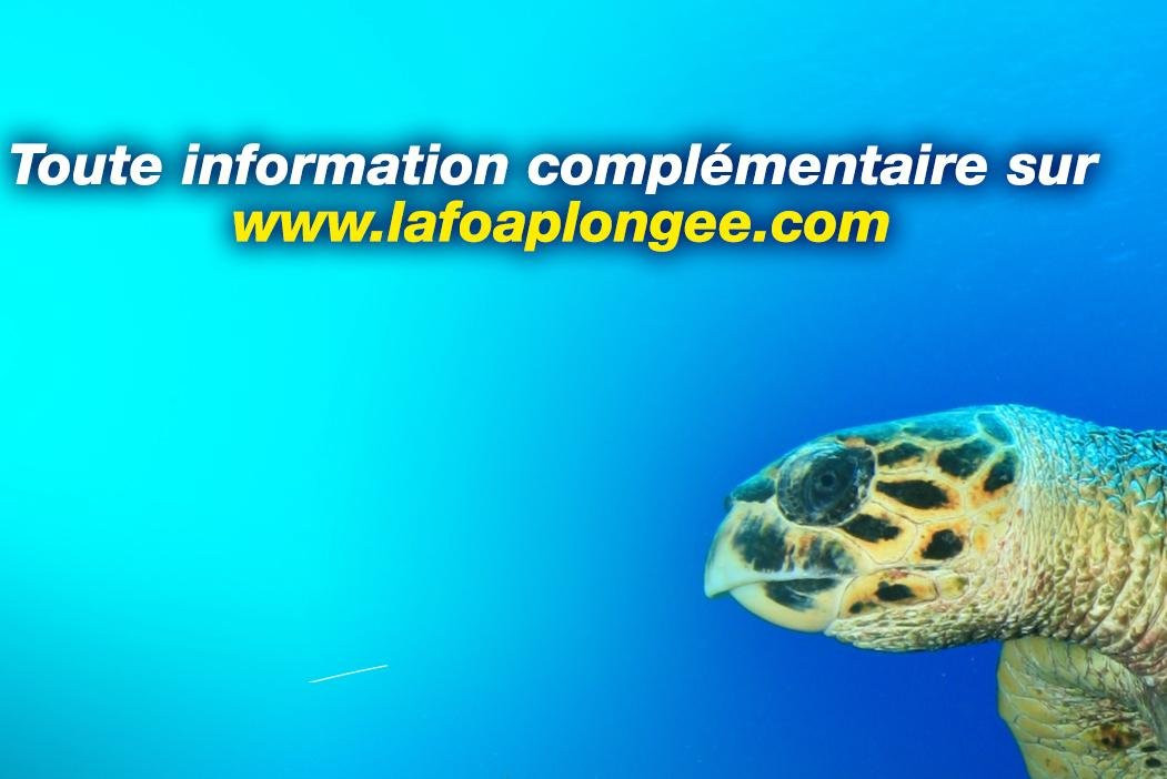 La Foa Plongée-La Foa必去景点