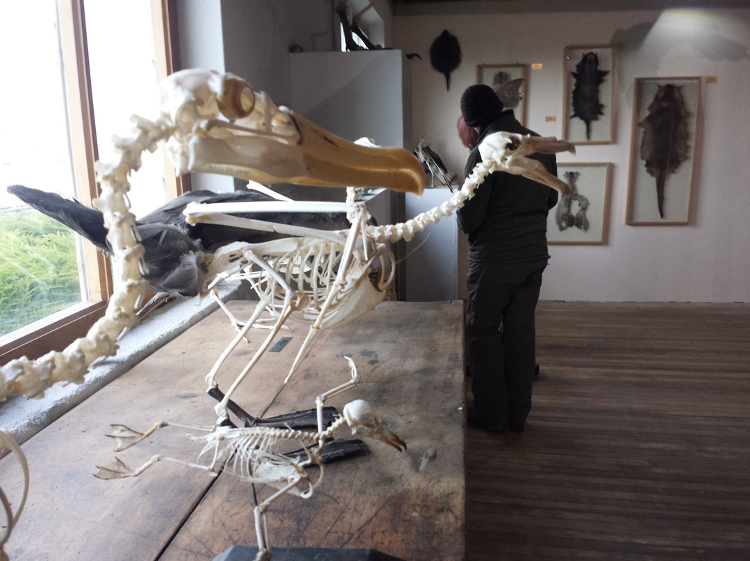 Museo de Historia Natural Río Seco-蓬塔阿雷纳斯必去景点