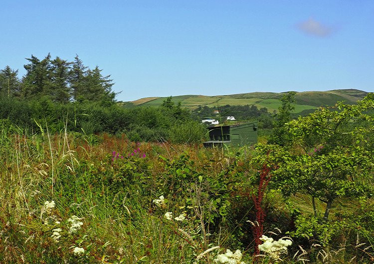 Ballachurry Nature Reserve-Port Erin必去景点