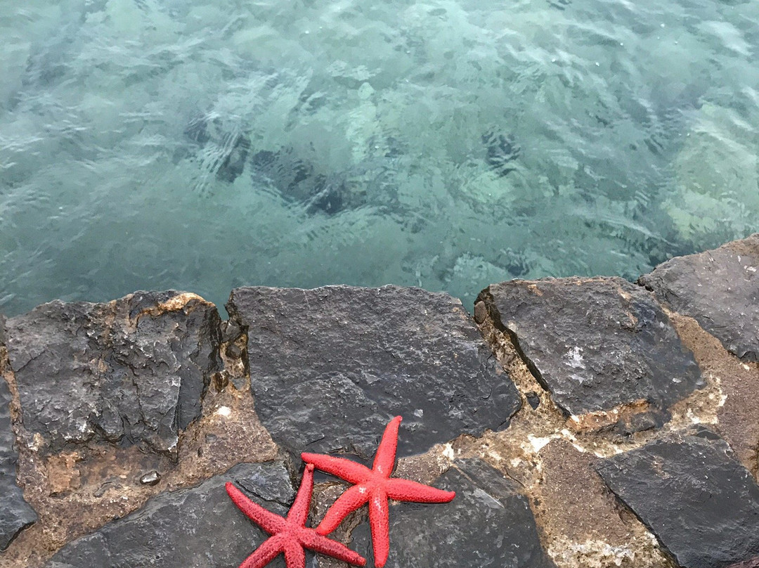 Amaliapoli旅游攻略图片