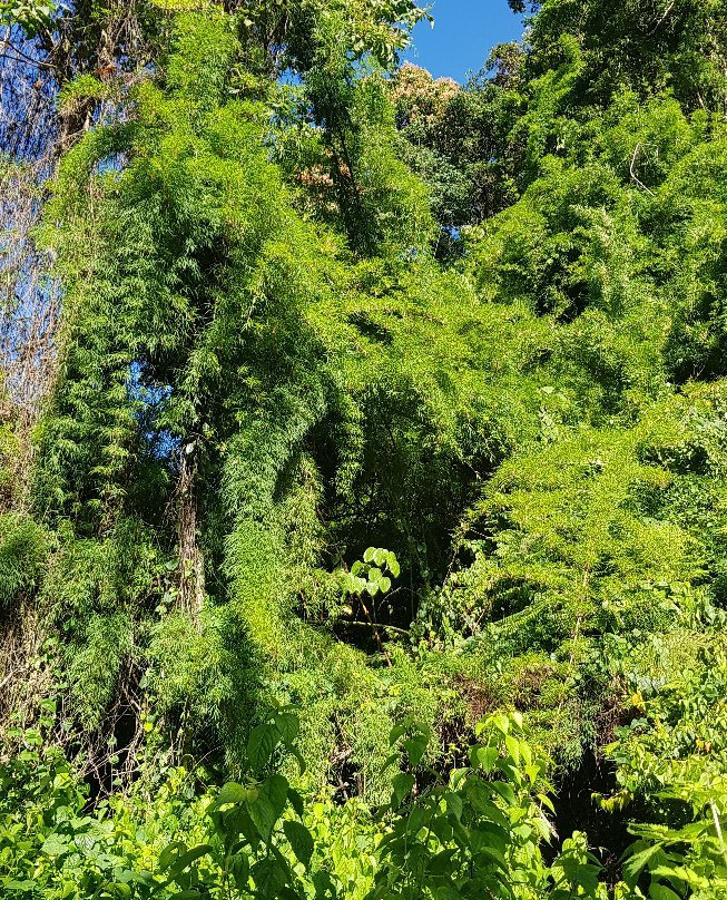 Panama Pathfinders-波魁特必去景点