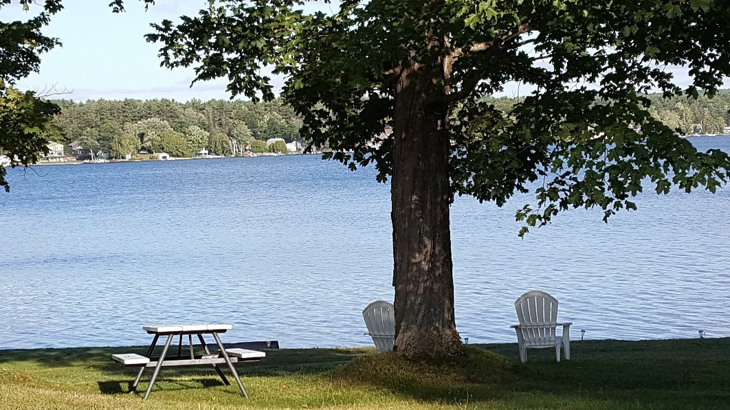 Barton's Motel主图