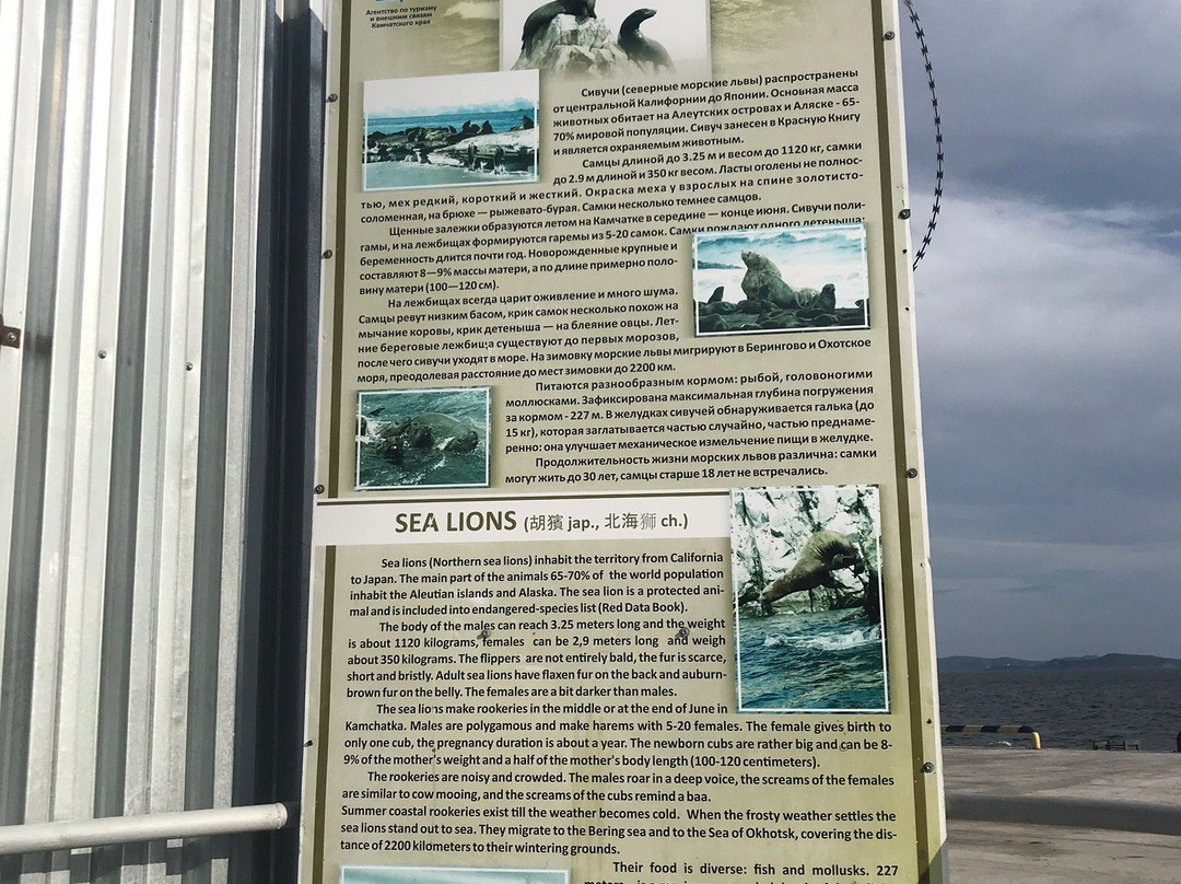 Sea Lion Colony景点图片